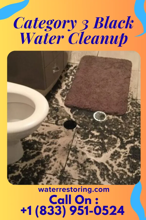 Category 3 Black Water Cleanup in Natchez, MS