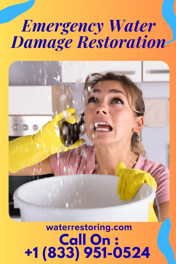 Emergency Water Damage Restoration in Natchez, MS