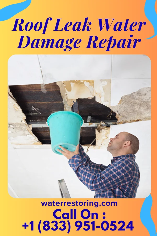 Roof Leak Water Damage Repair in Natchez, MS